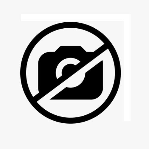 Replacement Battery for Sanyo SCP-09LBPS-S SCP-5400 SCP-5500 SCP-5455 VM-4500 RL2500